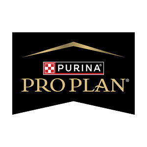 Purina Veterinarian Explains Why Senior Dog Nutrition Needs to Start Earlier Than Owners Expect