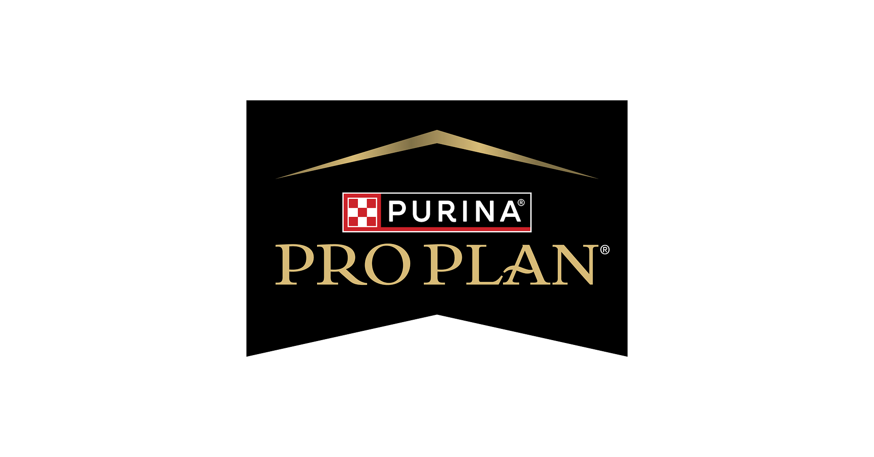 Purina Veterinarian Debunks the Biggest Myths About Cat Allergens