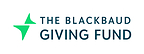 The Blackbaud Giving Fund Disburses Over $536 Million in 2025, With Company Matches Accounting for More Than Half