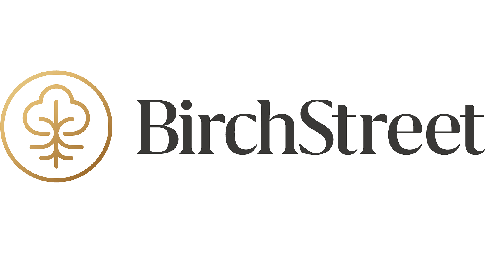 BirchStreet Appoints Christopher Haydon as Chief Executive Officer