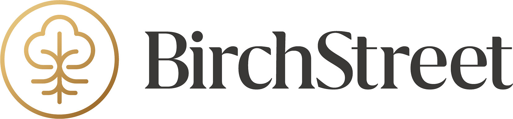 BirchStreet Appoints Christopher Haydon as Chief Executive Officer