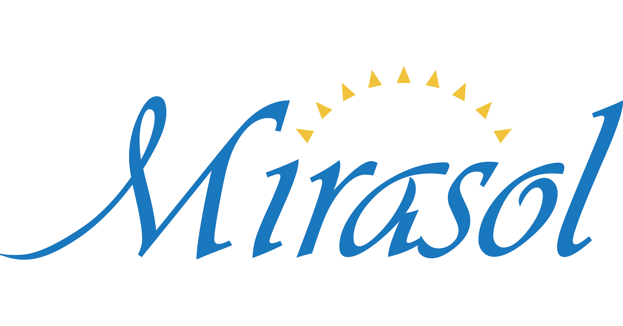 Data General Cpu MIRASOL NAMES EDUARD CRISTAL, CCM, AS GENERAL MANAGER