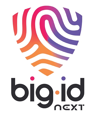 BigID Next