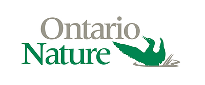 Together for Nature Tour Featuring Indigenous Artists and Land Protectors Announced
