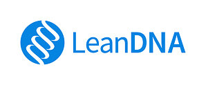 LeanDNA Names Lindsey Brown Vice President of Customer Success