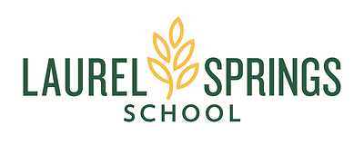 Laurel Springs is a fully accredited, online private school for K-12 students. With a premier college-prep curriculum including AP® and Honors courses, in-person and virtual events, and a global community spanning over 100 countries, they’ve ranked as one of the top online private schools in the nation.
