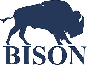 Bison Wealth Welcomes Joan Kaye
