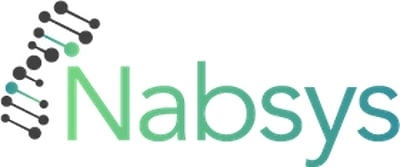 Nabsys Logo Nabsys Logo