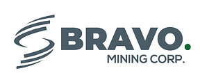 Bravo Metals Authorized to Establish Industrial Project in Barcarena Export Processing Zone