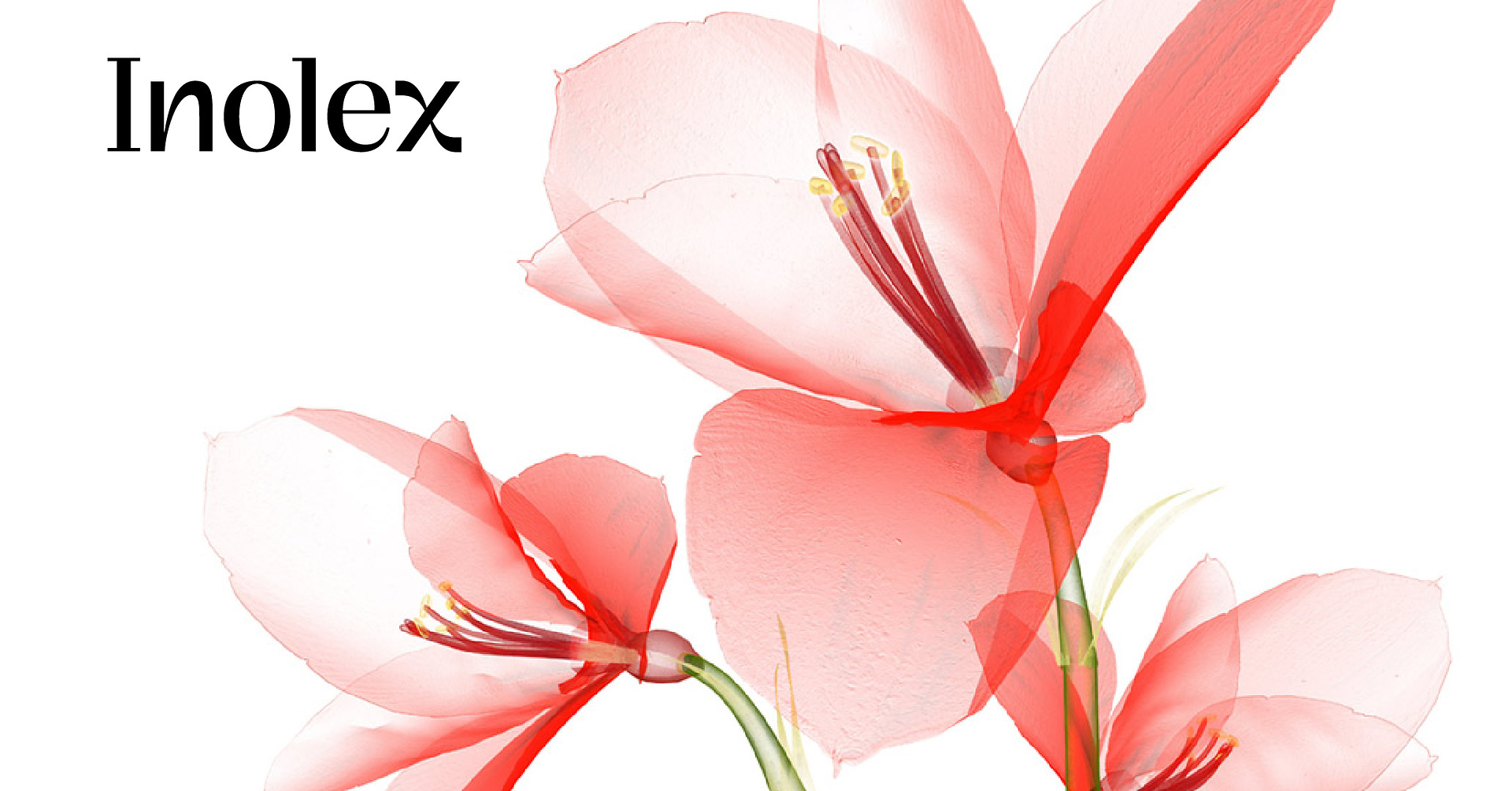 Radiant, Hydrated Skin and Longer-Lasting Fragrance from One Silicone-Free Sensory Enhancer