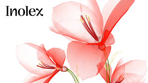 Radiant, Hydrated Skin and Longer-Lasting Fragrance from One Silicone-Free Sensory Enhancer