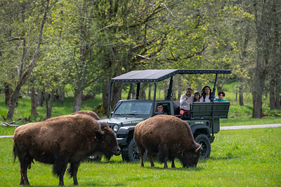 Small Travelers Have Big Plans in Pierce County