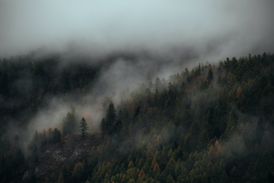 Get to Know the Northwest, One Strong Coffee at a Time