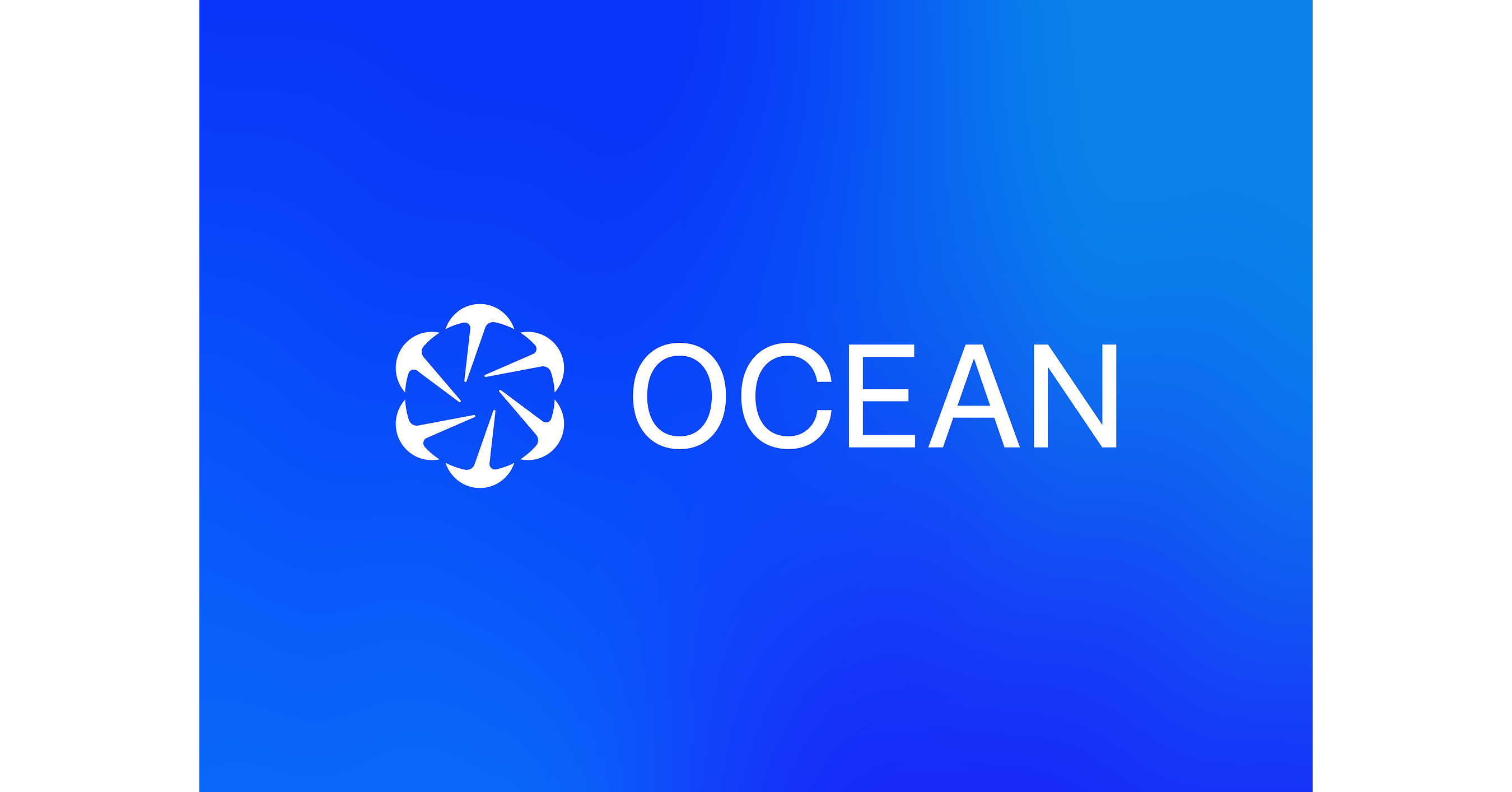 JOINT STATEMENT OF OCEAN AND LUKE DASHJR