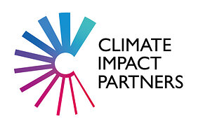 Carbon credits move into the Boardroom as Nine in Ten Buyers Report Real Business Gains