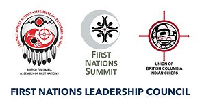 First Nations Leadership Council Raises Concerns over Fast-Tracked Fossil Fuel Expansion Without First Nations Consent