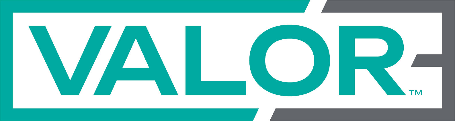 ValorC3 launches Backup as a Service with immutable backups for SaaS data