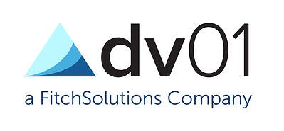 dv01 logo