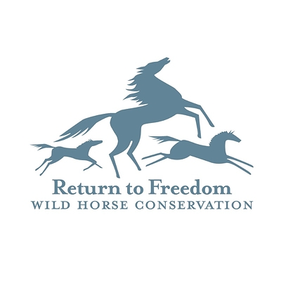 RTF logo 2025 - 1