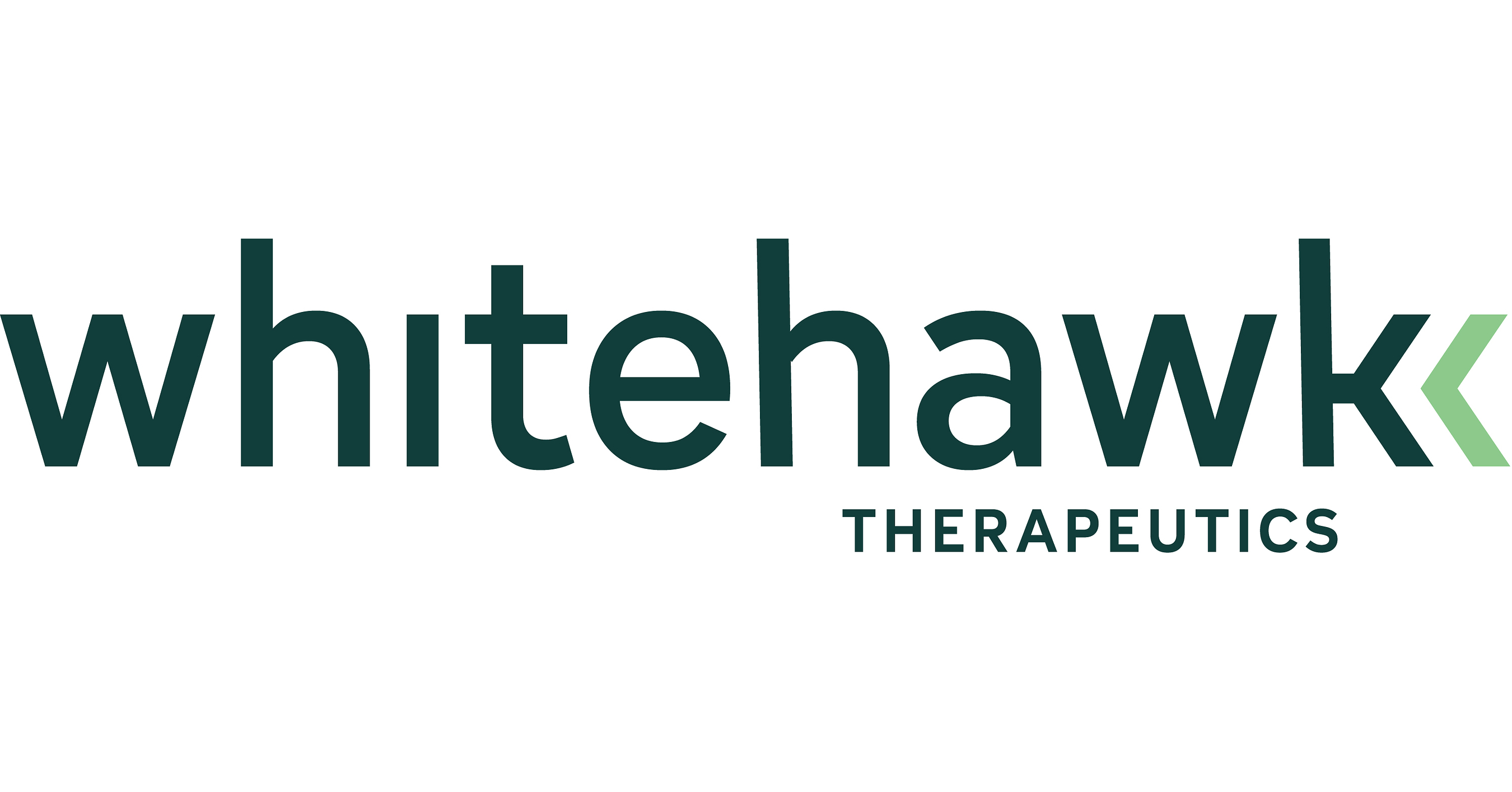 Whitehawk Therapeutics Reports Second Quarter 2026 Financial Results and Recent Highlights Whitehawk Therapeutics Reports Second Quarter 2026 Financial Results and Recent Highlights