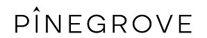 Pinegrove Closes $1.5 Billion Oversubscribed Strategic Investors Fund XII
