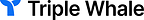 Triple Whale Launches Moby Automations and Appoints Former Facebook VP of Ads to Accelerate AI-Powered Media Buying