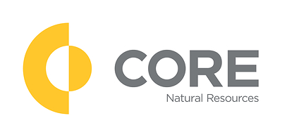 CNR Logo