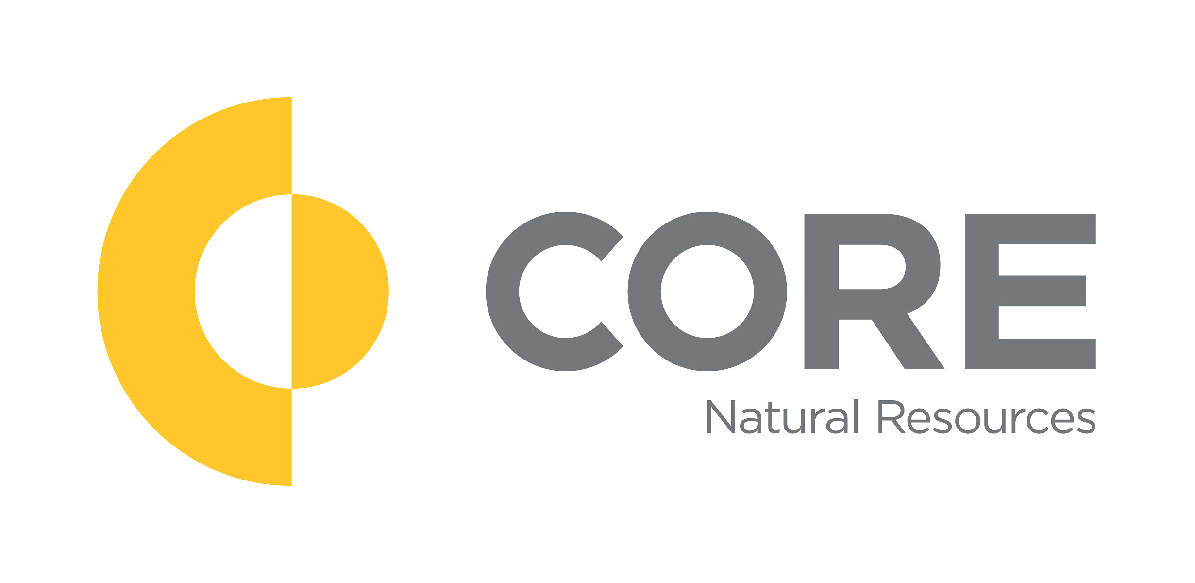 CNR Logo
