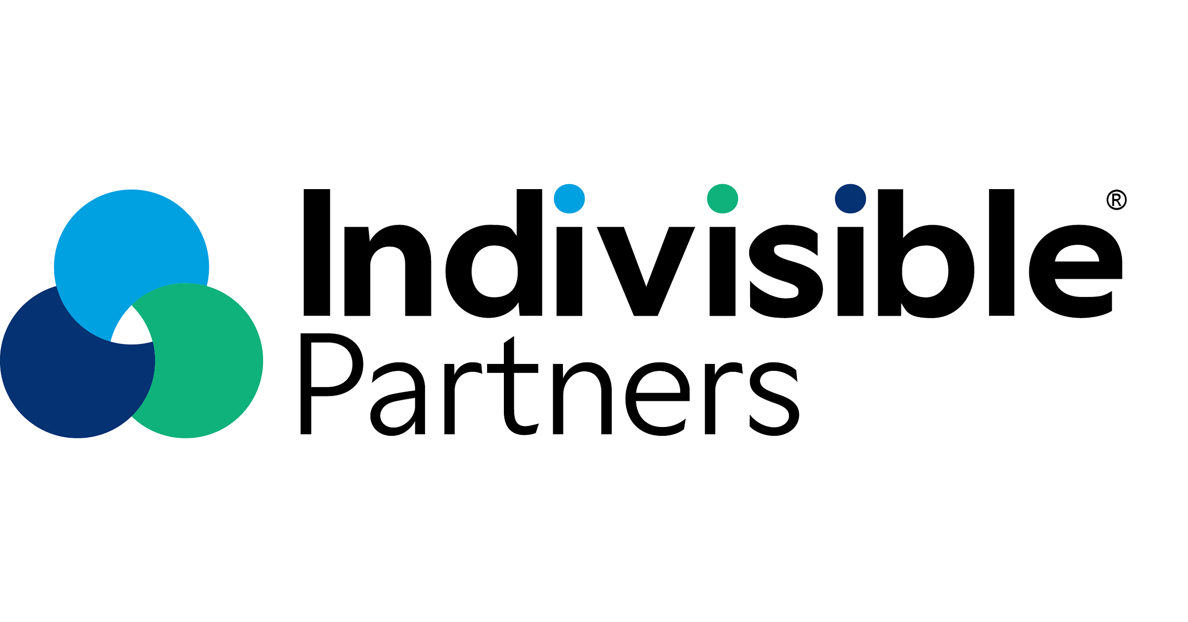 /U P D A T E -- Indivisible Partners/