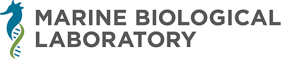 Since 1888, the MBL has hosted thousands of researchers, students and faculty from all over the world. It is precisely this wealth in perspectives and experiences that makes our community unique. For this reason, the lab strives to maintain a welcoming environment where diverse perspectives and experiences are combined with an atmosphere of collaboration and training in efforts to advance scientific inquiry and discovery.
