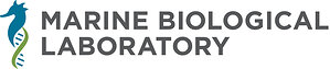 Marine Biological Laboratory Expands Board of Trustees as It Charts Its Next Chapter as an Independent Institution