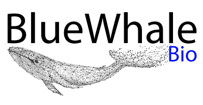 BlueWhale Bio Highlights Continued Progress Across Cell Therapy Platform and Operations