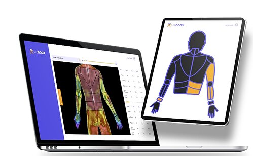 Anatomical View Presented by the Vizbodx Software
