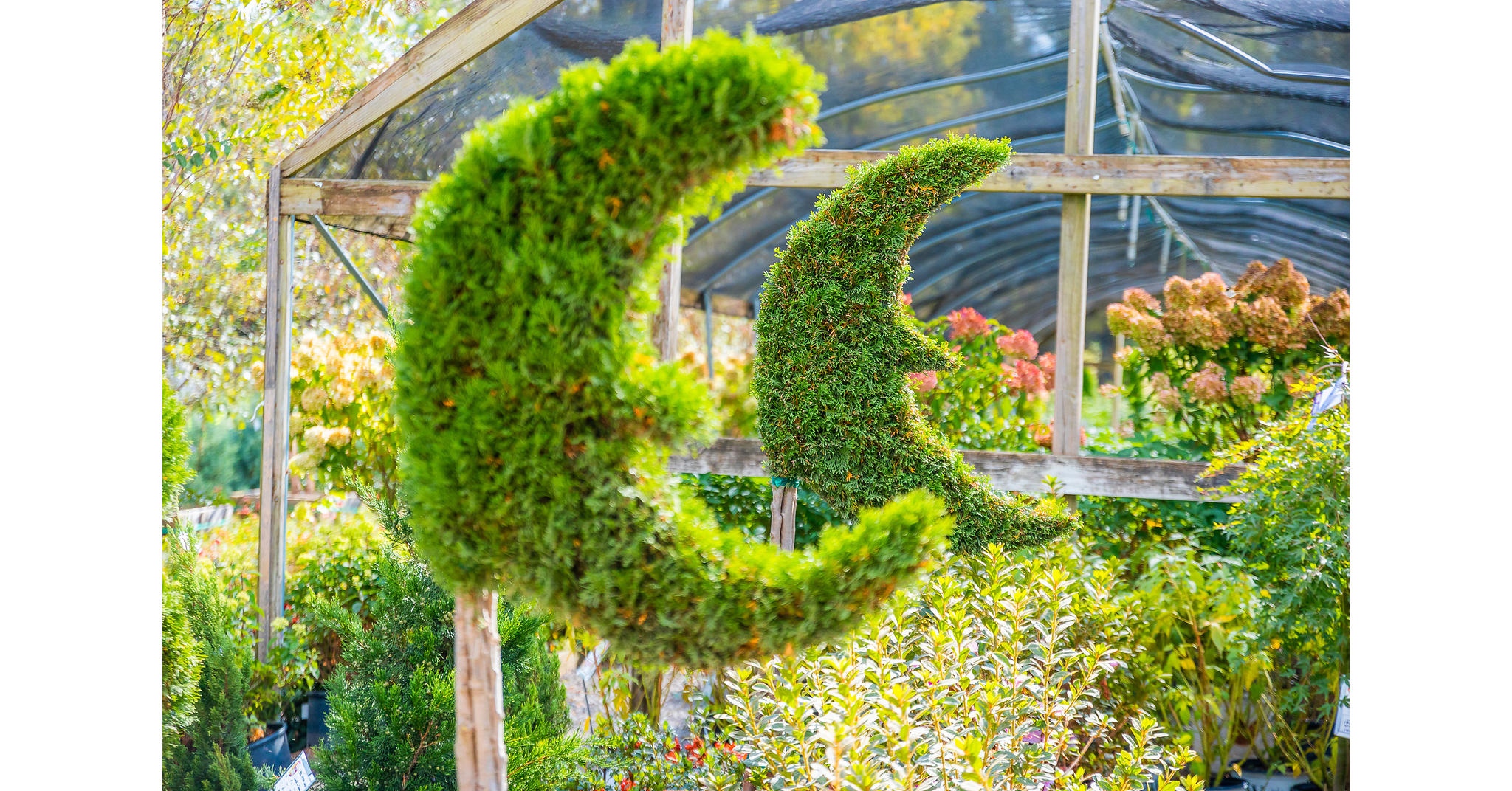 Moon Valley Nurseries Opens New Location in Moorpark, Expanding Services Across Oxnard-Thousand Oaks-Ventura Metropolitan Area