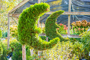Moon Valley Nurseries Opens New Location in Moorpark, Expanding Services Across Oxnard-Thousand Oaks-Ventura Metropolitan Area