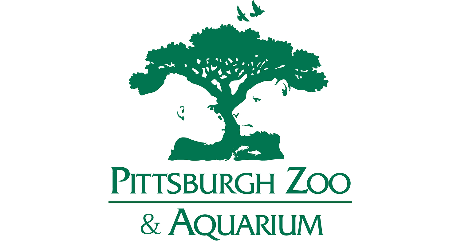 Pittsburgh Zoo & Aquarium Leads the Fight to Save Red Pandas