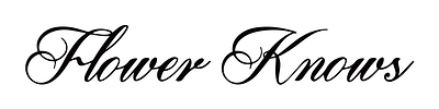 Flower Knows Logo
credit Courtesy of Flower Knows