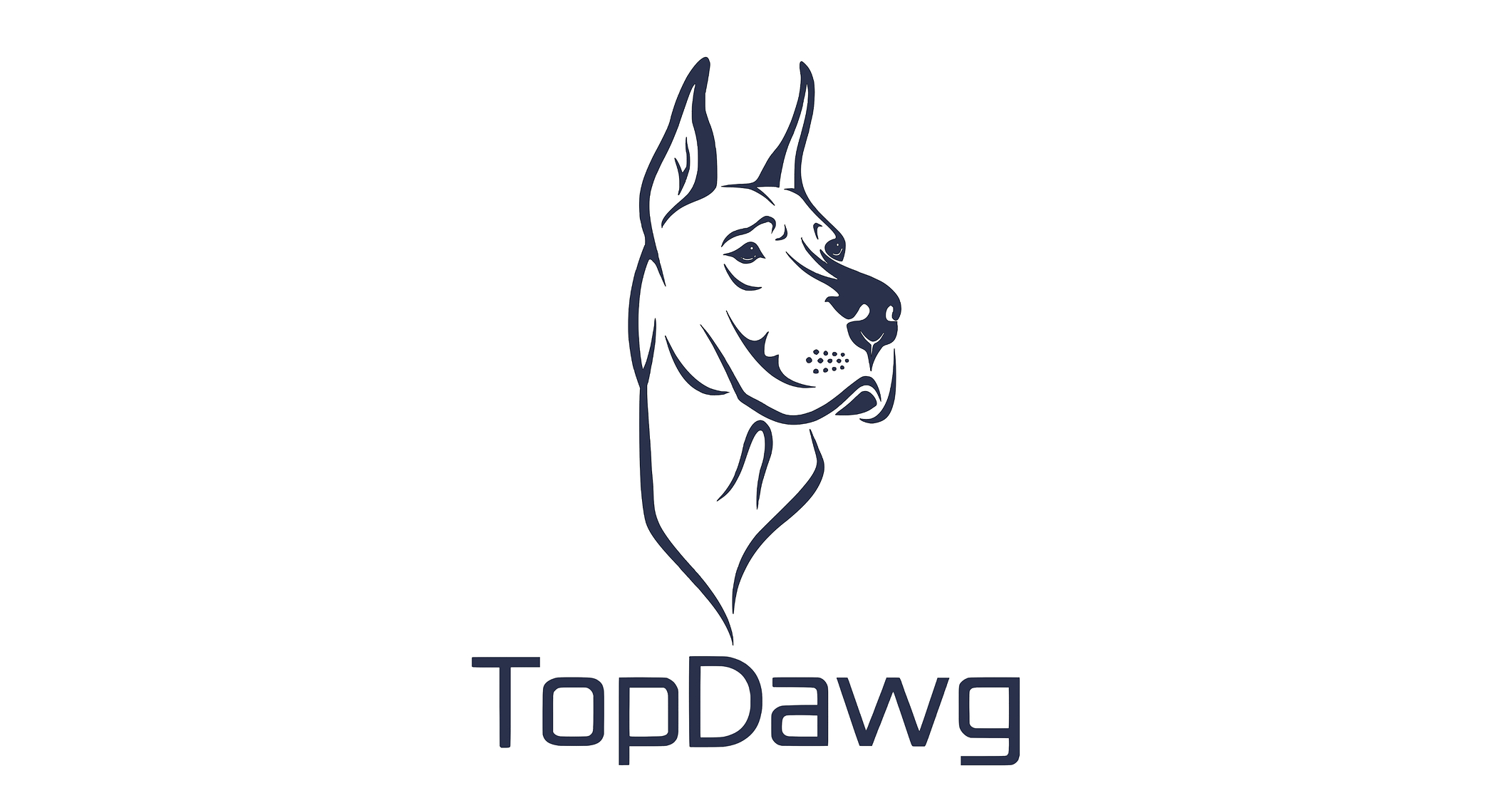 TopDawg Launches Temu Integration for Retailers, Expanding Multi-Channel Dropshipping Platform