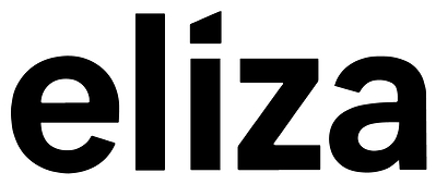 Eliza Appoints Lori Borg as Chief Operating Officer