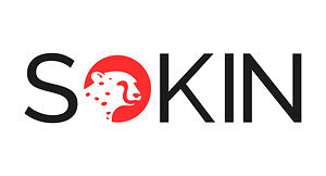 Sokin launches MCP connector: customers' AI can now line up payments in minutes