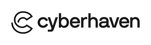 Cyberhaven Names Todd Rotger President to Lead Next Phase of Growth