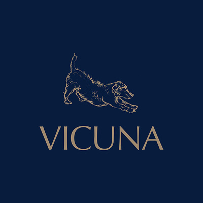 Vicuna Air Limited Logo