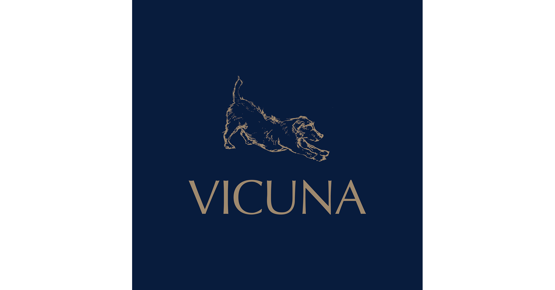 Vicuna Air stellt „Vicuna Waypoints vor: Ausweitung seines „Pet-First-Netzwerks über den Flug hinaus Vicuna Air stellt „Vicuna Waypoints vor: Ausweitung seines „Pet-First-Netzwerks über den Flug hinaus