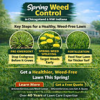 Dr. Green Services Advises Illinois Homeowners: As Temps Rise, Spring Weed Control is Crucial to Stopping Weeds From Taking Over