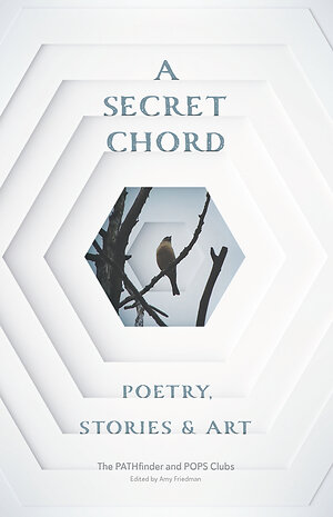 New Anthology "A Secret Chord" Spotlights Creative Voices of 60 Systems-Impacted Youth; Sales to Benefit Youth Empowerment Programs
