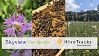 Skyview Ventures Expands Biodiversity and Data-Driven Beekeeping Program Across Multi-State Solar Portfolio with HiveTracks