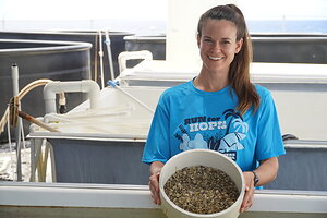 Pacific Hybreed Closes $1 Million Round with Support from Hawaiʻi Angels and Blue Startups to Scale Resilient Shellfish Production