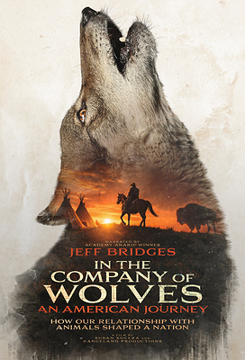 Vision Films Acquires Environmental Documentary "In The Company Of Wolves: An American Journey" From Award-Winning Filmmaker Susan Kucera and Narrated by Academy Award® Winner Jeff Bridges