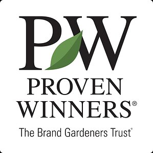 Beyond Mums: Proven Winners® Inspires With Showstopping Fall Porch Combinations