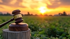 Wisner Baum Investigates Syngenta Amid Renewed Questions Over Atrazine Safety